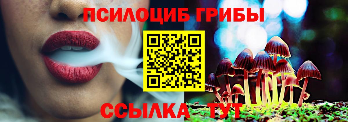 Псилоцибиновые грибы GOLDEN TEACHER Барабинск