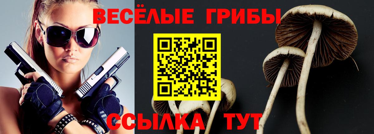 Барабинск  Псилоцибиновые грибы мицелий  Вход с VPN 